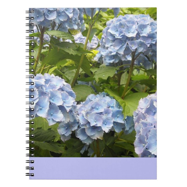 Deep Blue Hydrangeas Notebook (Front)
