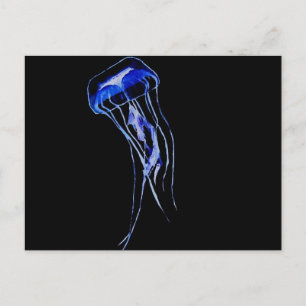 Deep Blue Postcard