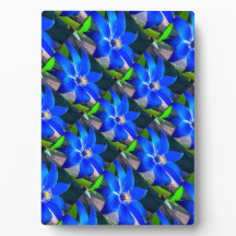Deep Bluish Flowers Pattern