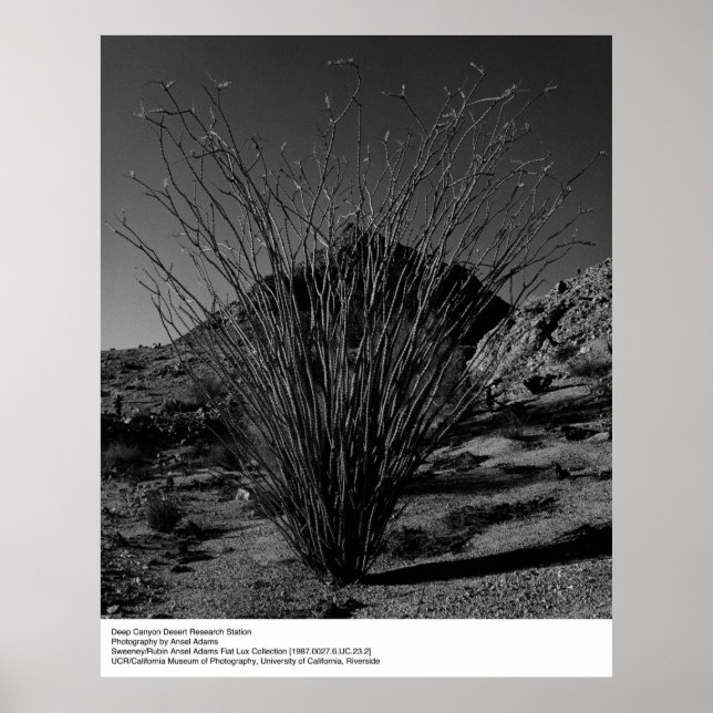 Deep Canyon Desert Research Station by Ansel Adams Poster (Front)
