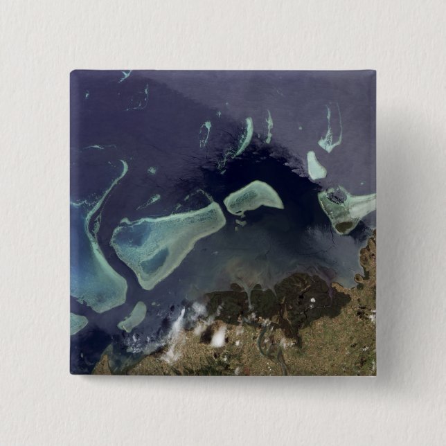 Deep green forest on land 2 inch square button (Front)