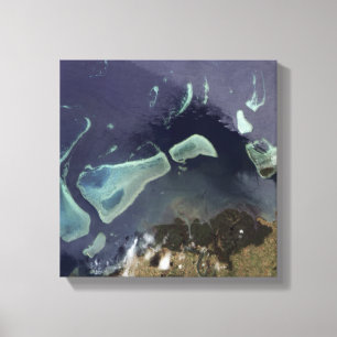 Deep green forest on land canvas print