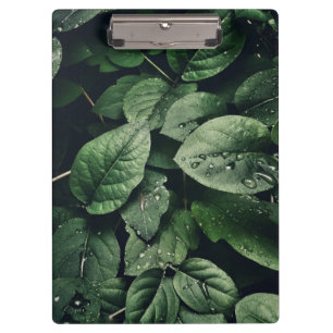 Deep Green Jungle Leaf Foliage Clipboard