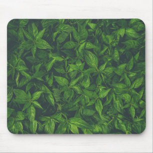 Deep Green Leaves  Mouse Pad