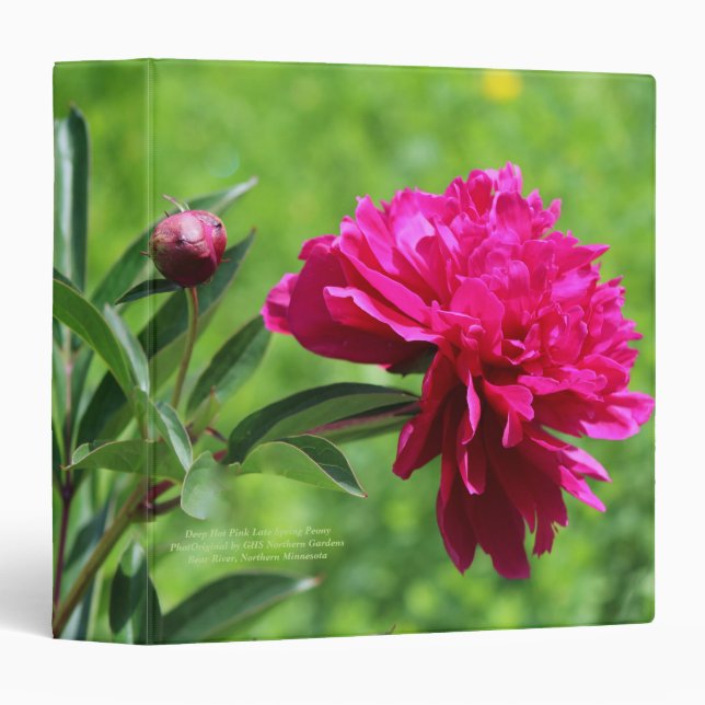Deep Hot Pink Late Spring Peony Binder (Front/Spine)