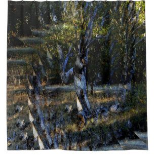 Deep in the Forest.......