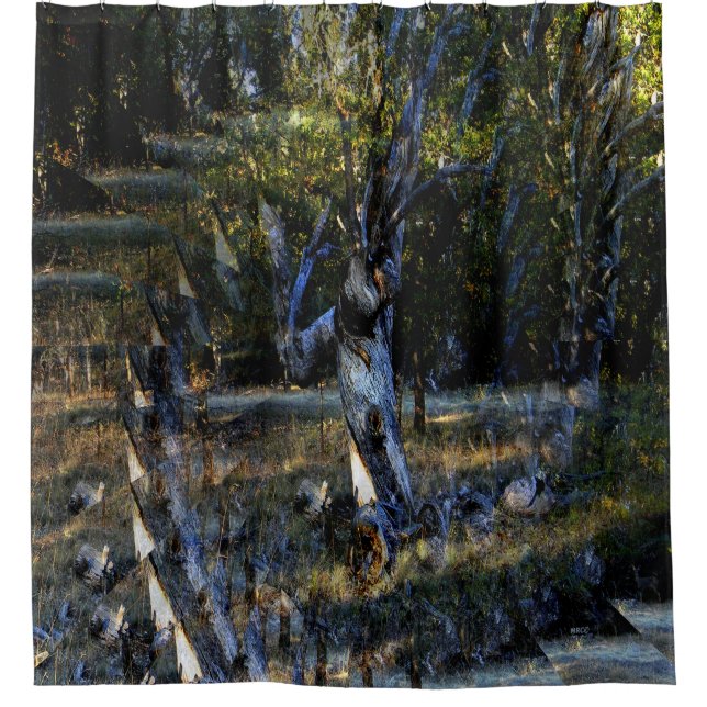 Deep in the Forest....... (Front)