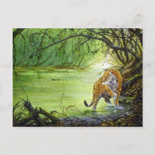 Deep in the woods, Jaguar Postcard (Front)