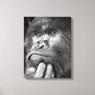 Deep in Though Gorilla Canvas Print