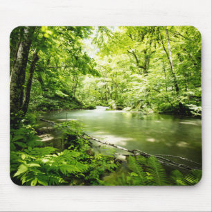 Deep Into the Forest Mouse Pad
