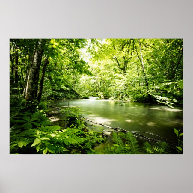Deep Into the Forest Poster (Front)