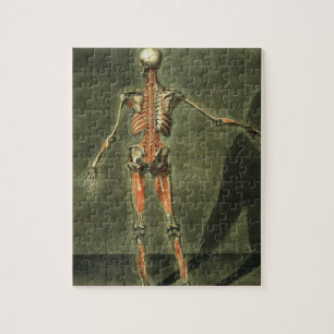 Deep Muscular System of the Back of the Body, plat Jigsaw Puzzle
