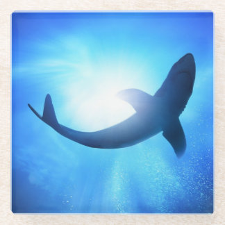 Deep Ocean Shark Silhouette Glass Coaster