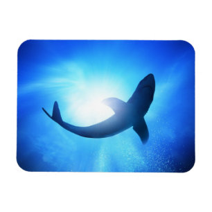 Deep Ocean Shark Silhouette Magnet