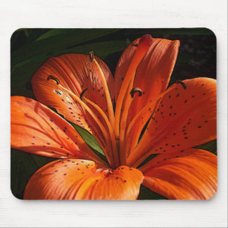 Deep Orange Mouse Pad