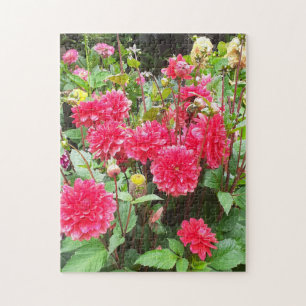 Deep Pink Dahlias Jigsaw Puzzle
