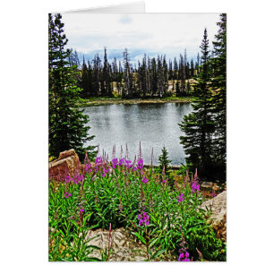 Deep Pink Flowers by Lake, Blank Inside