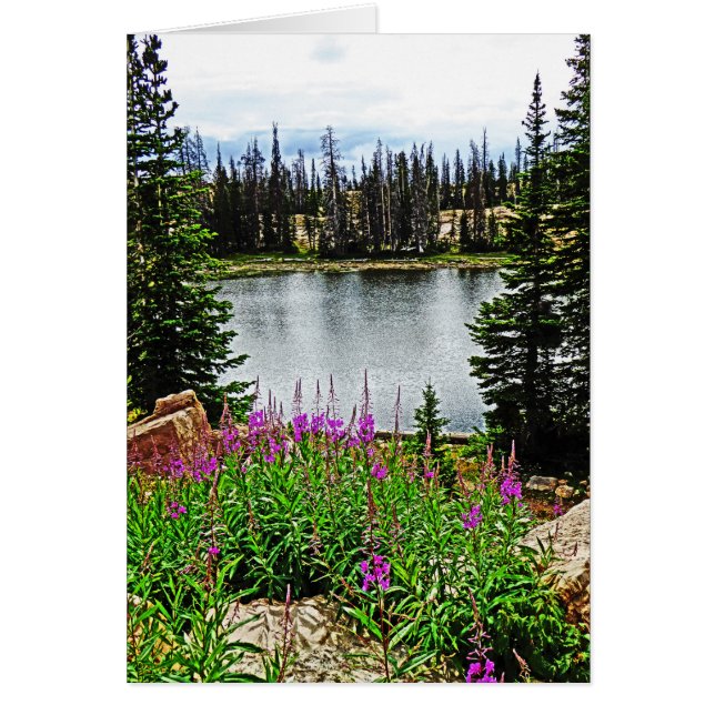 Deep Pink Flowers by Lake, Blank Inside (Front)