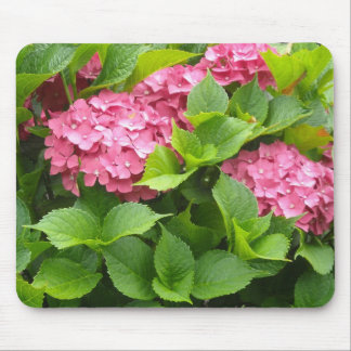 Deep Pink Hydrangeas Mouse Pad