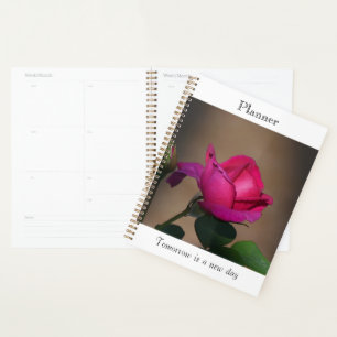 Deep Pink Rose Planner