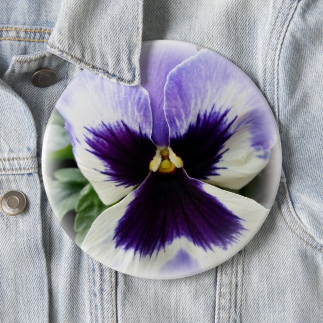 deep purple on white pansy 6 inch round button (In Situ)