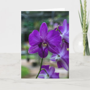 Deep Purple Orchid Customizable Greeting Card. Card