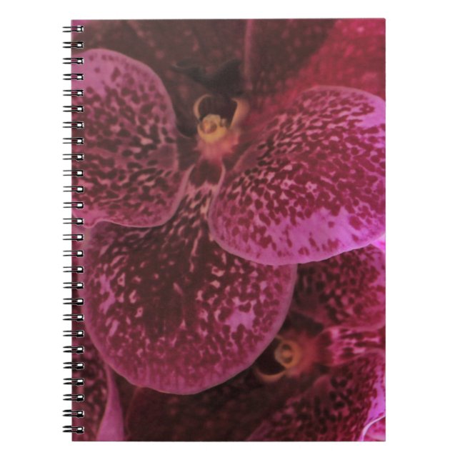 Deep Purple Orchid Spiral Notebook III (Front)