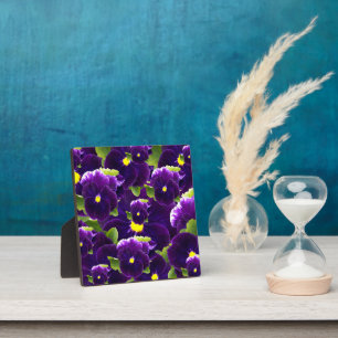 Deep Purple Pansy Bushes, Plaque