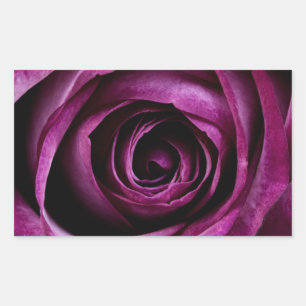 Deep Purple Rose Sticker