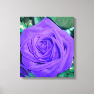 Deep Purple Rose Wrapped Canvas