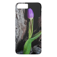 deep purple tulip on driftwood