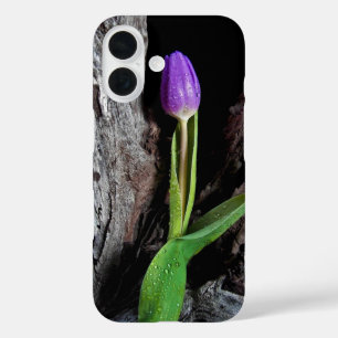 deep purple tulip on driftwood iPhone 16 case
