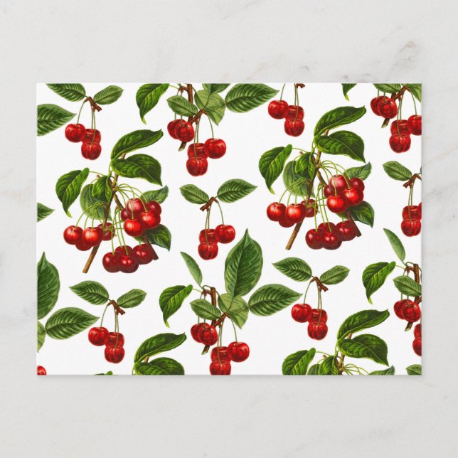 Deep Red Botanical Cherry Print Postcard (Front)