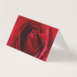 deep red rose
