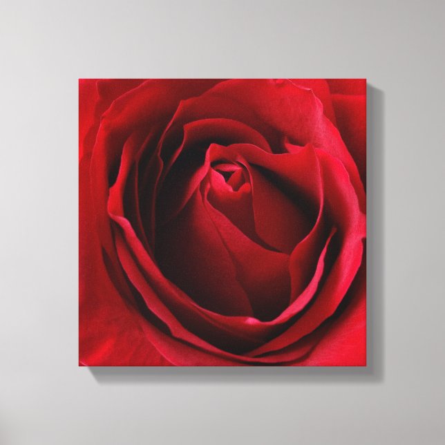 deep red rose canvas print (Front)