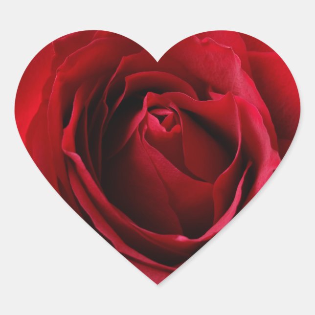 deep red rose heart sticker (Front)