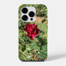Deep Red Rose iPhone 14 Pro Case