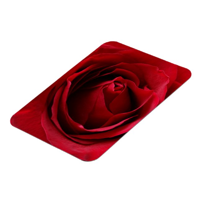 deep red rose magnet (Left Side)