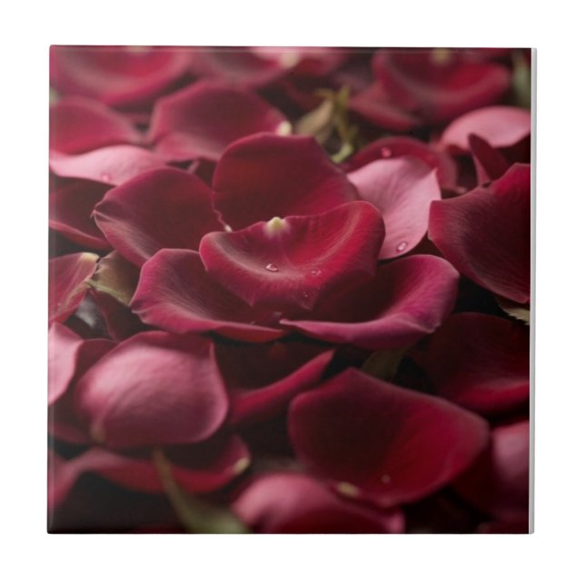 Deep Red Rose Petals Elegant Floral Ceramic Tile (Front)