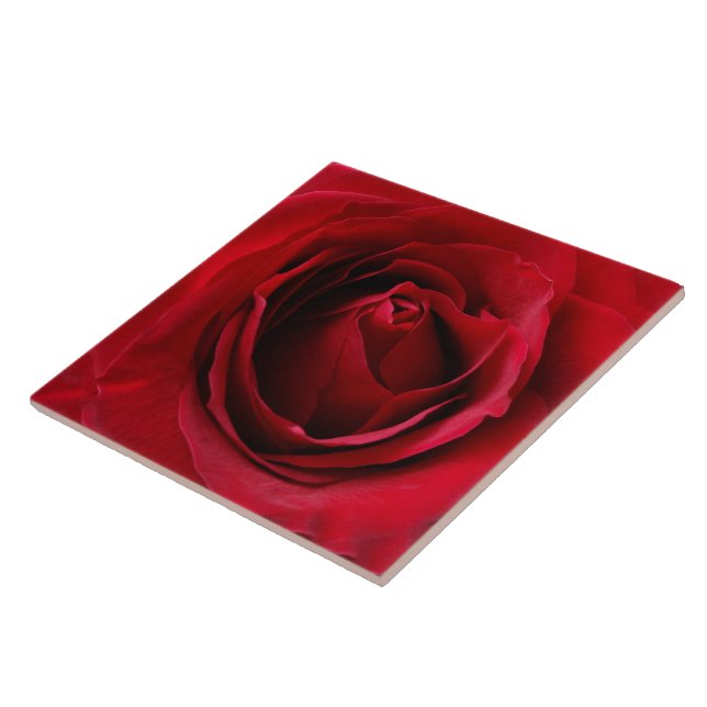 deep red rose tile (Side)