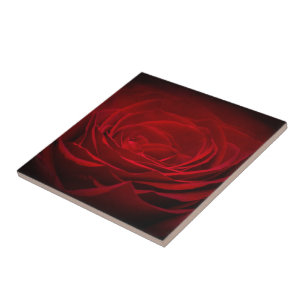 Deep Red Rose Tile
