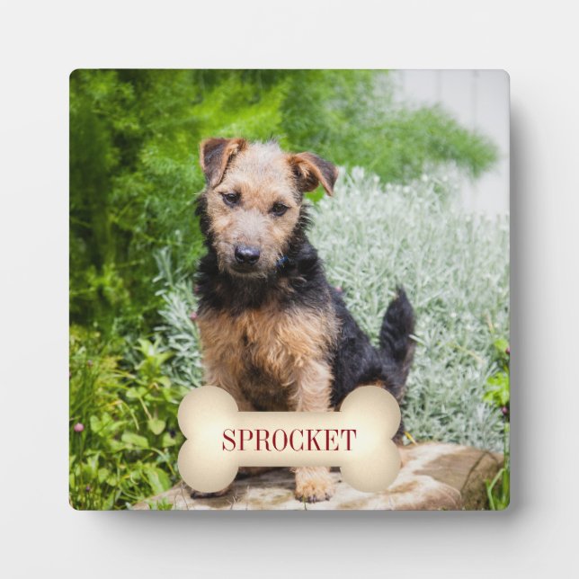 Deep Red Text on Bone with Pet's Photo Plaque (Front)