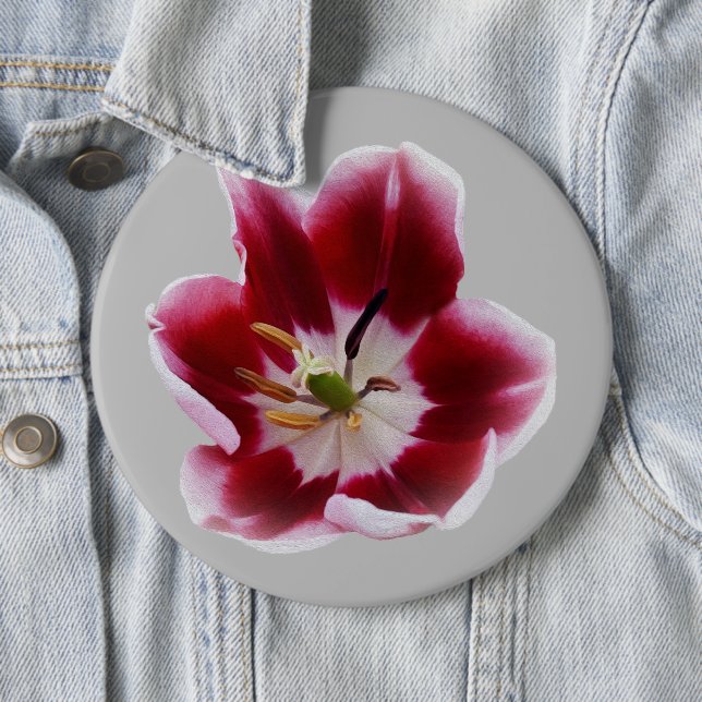 Deep red tulip 6 inch round button (In Situ)