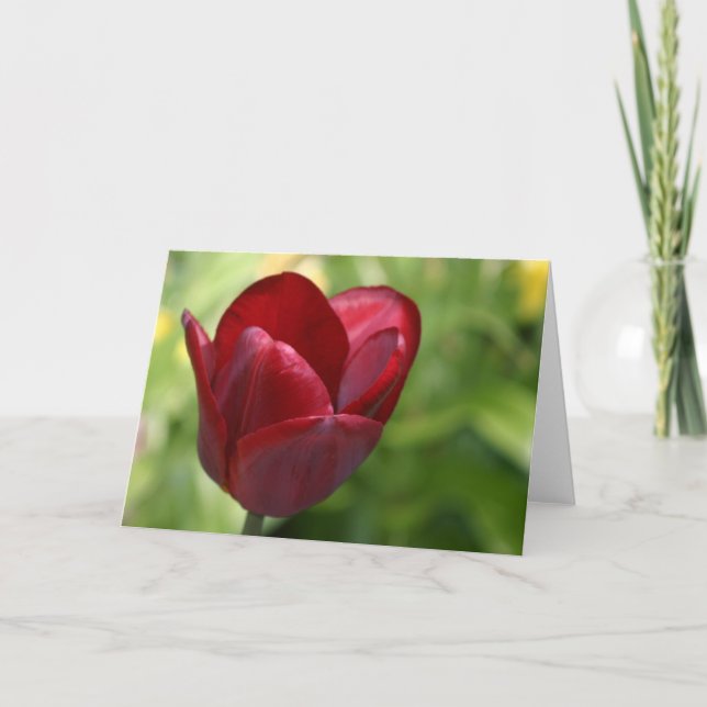 Deep Red Tulip Card (Front)