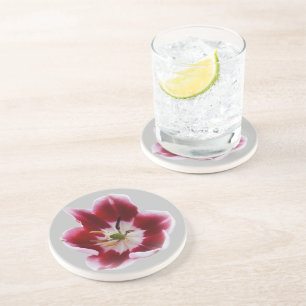 Deep red tulip coaster