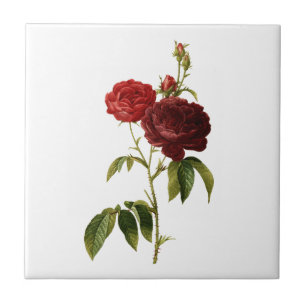 Deep red vintage roses painting tile