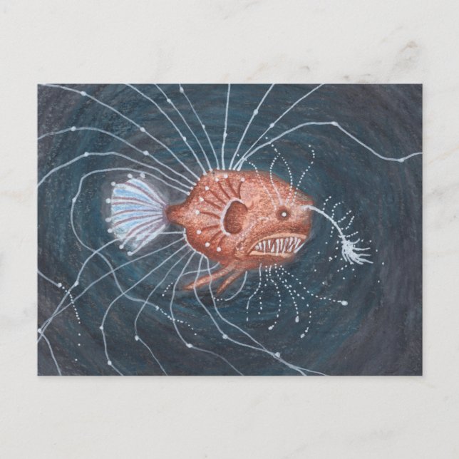 Deep Sea Anglerfish Postcard (Front)