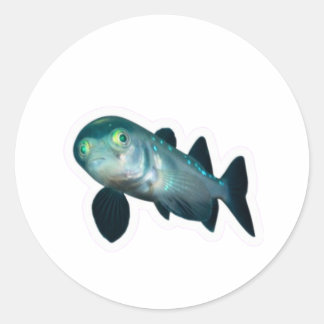 Deep Sea Barreleye Fish Sticker, Transparent Head Classic Round Sticker