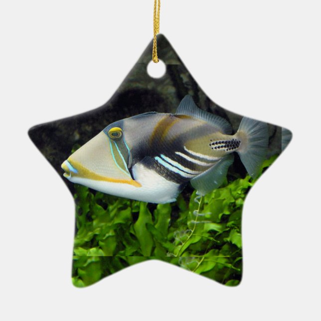 Deep sea fish ceramic ornament (Front)