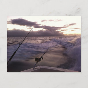 Deep Sea Fishing Postcard